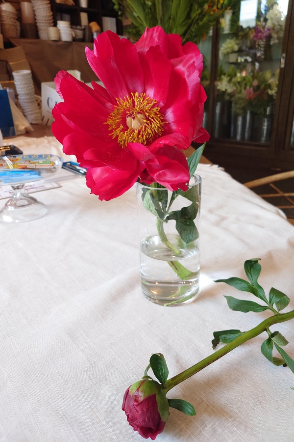 立てば芍薬〜